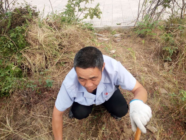 公司每月組織的黨員學習和義工活動